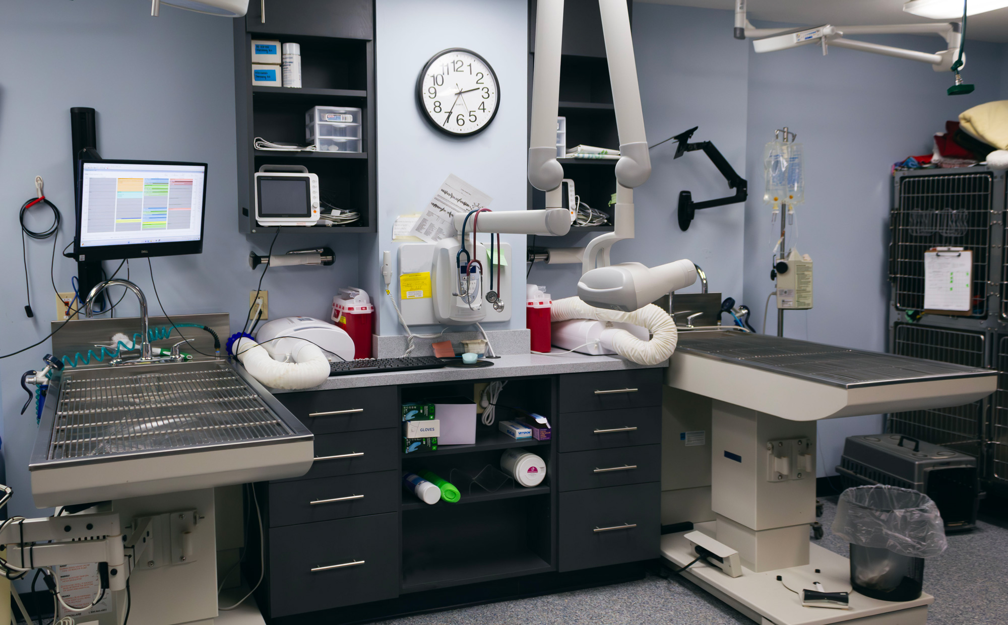 Glasgo Memorial Veterinary Hospital dentistry suite